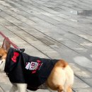 우비Art 이미지