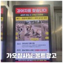 0719-0725 사료 볼트광고 리빙박스 생수 스크래쳐 오메가3 고양이모래 봉사자식사 봉사자간식및음료 이미지