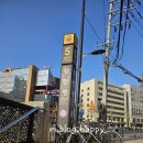 소3-130 | 장한평역해장국에서 술이 술술... 용답동맛집 강남진양평해장국 소곱창전골 리얼 후기