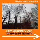 (유)아산종합건설 | 아산 벌목업체 조경수 전지작업 및 가지치기