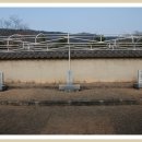 동문2리 이미지