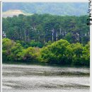 대전둘레산길(6구간) 이미지