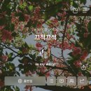 김밥박사 | 강릉 일기 2026년 3월 첫째주 이야기