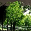 홍성균한의원 이미지