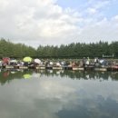 주식회사 더 키코 이미지