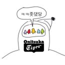 닛쇼이와이