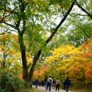 산우기업(주) | [사진여행] 속리산 법주사 세조길