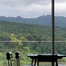 팀버스크린골프 이미지