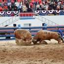 분동농장 이미지