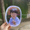 호원대부속유치원 이미지