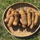 천마가스 이미지