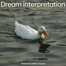 노동오리농장 이미지