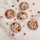 영천초교병설유치원 이미지