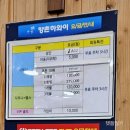 향촌하와이 이미지