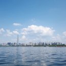 한강오리 이미지