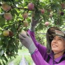 나우농장 이미지