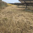 효심 태양광발전소 이미지