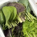 채열농장 이미지