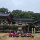 영남중기 | 부산 가볼 만한 곳, 영남3대사찰 범어사｜추석날합동차례 다녀온 이야기