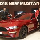 뉴서울카매니아 이미지