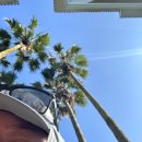 UR(제주시)-[일주동로]-상-6 | 소노캄 제주 조식 가격 메뉴 할인 정보