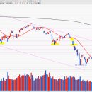 신성바이오텍 이미지