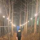 포항이동유치원 | 🌊 포항 가족여행 코스｜호미곶·스페이스워크·죽도시장 + 속초까지 이어진 여행 후기