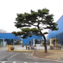 플레이즈 파크 이미지
