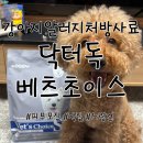 룰루멍 | 강아지알러지처방사료 닥터독 베츠초이스 노령견 먹여본 후기