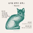 하대동386 | [진주 원데이 클래스] 늘새솔 <개성주악> 원데이 클래스 수강생 모집