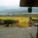 가랑잎새 이미지