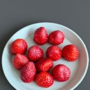 보검사우나 이미지