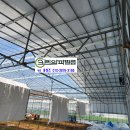 알파크린 이미지