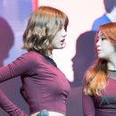 미스터비어 티스토리