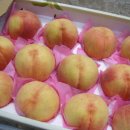 정호진농장 이미지