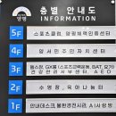 트레이닝 마에스트로 | 20260130-양서에코힐링센터 방문기와 딸이 선물한 홈트 러닝머신
