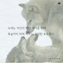 이쁜늑대