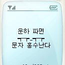 "운하 파다 니 무덤 판다" 문자 보내기 이미지