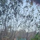 황청2리 마을회관 이미지