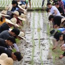 홍동중학교 이미지
