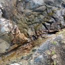 부근농장 이미지