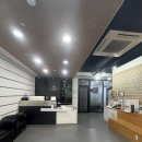 모락 | [인천 송도/두피 탈모 관리] 닥터 모락 후기 (20대 여성 탈모 두피 케어 후기)