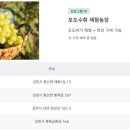 운남로2 이미지