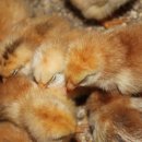 충주자연생태체험관 이미지