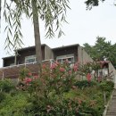 노을에기댄언덕 이미지