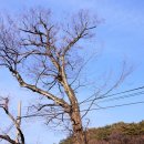 달전회관 이미지