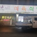 소답동255 | 창원 소답동 인생 고기 맛집 총각네식육식당 소답점