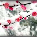 관음사 가는길 Daum카페
