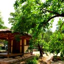 백운동 정원 이미지