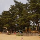 꾸지나무골해수욕장 이미지